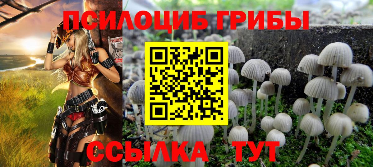 Псилоцибиновые грибы MAGIC MUSHROOMS Шебекино
